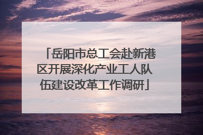 岳阳市总工会赴新港区开展深化产业工人队伍建设改革工作调研