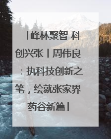 峰林聚智 科创兴张丨周伟良：执科技创新之笔，绘就张家界药谷新篇