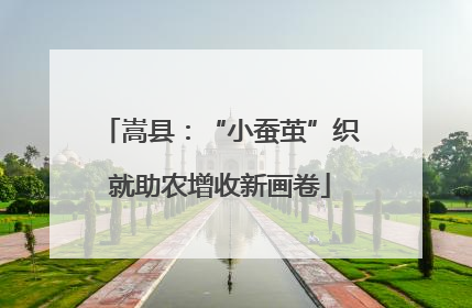 嵩县：“小蚕茧”织就助农增收新画卷
