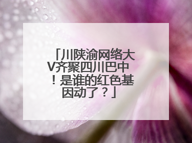 川陕渝网络大V齐聚四川巴中！是谁的红色基因动了？