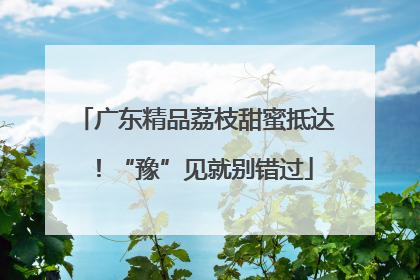 广东精品荔枝甜蜜抵达！“豫”见就别错过