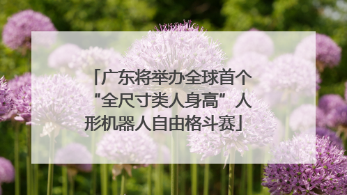 广东将举办全球首个“全尺寸类人身高”人形机器人自由格斗赛