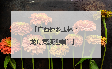 广西侨乡玉林：龙舟竞渡迎端午