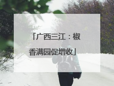广西三江：椒香满园促增收