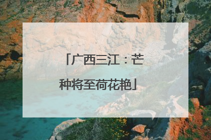 广西三江：芒种将至荷花艳
