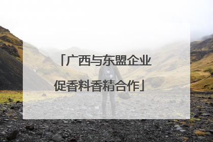 广西与东盟企业促香料香精合作