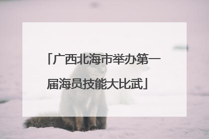 广西北海市举办第一届海员技能大比武