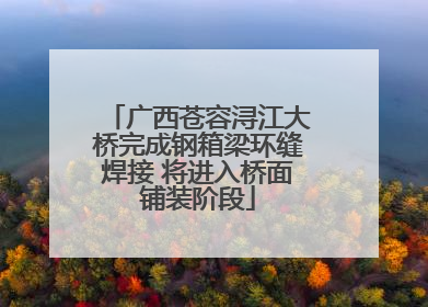 广西苍容浔江大桥完成钢箱梁环缝焊接 将进入桥面铺装阶段