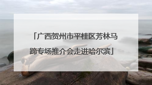 广西贺州市平桂区芳林马蹄专场推介会走进哈尔滨