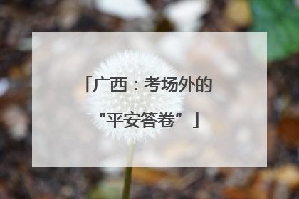 广西：考场外的“平安答卷”