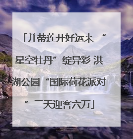 并蒂莲开好运来 “星空牡丹”绽异彩 洪湖公园“国际荷花派对”三天迎客六万