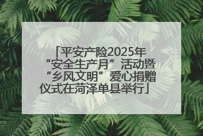 平安产险2025年“安全生产月”活动暨“乡风文明”爱心捐赠仪式在菏泽单县举行
