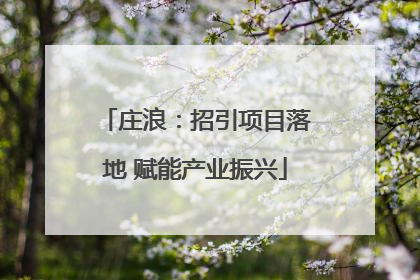 庄浪：招引项目落地 赋能产业振兴