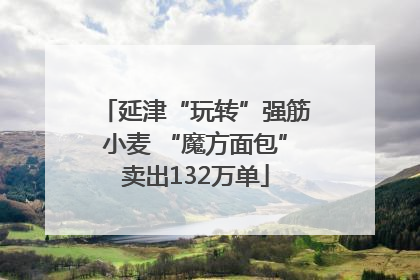 延津“玩转”强筋小麦 “魔方面包”卖出132万单