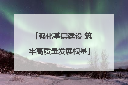 强化基层建设 筑牢高质量发展根基