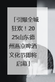 引爆全城狂欢！2025山东德州燕京啤酒文化节即将启幕