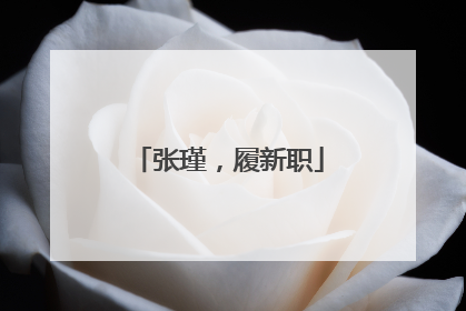 张瑾，履新职