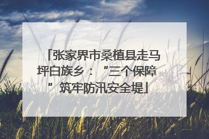 张家界市桑植县走马坪白族乡：“三个保障”筑牢防汛安全堤
