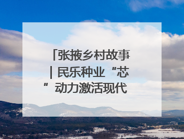 张掖乡村故事｜民乐种业“芯”动力激活现代农业新活力