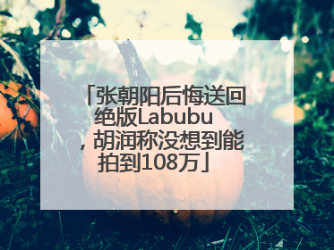 张朝阳后悔送回绝版Labubu，胡润称没想到能拍到108万