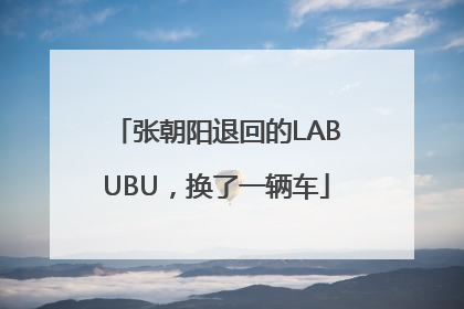 张朝阳退回的LABUBU，换了一辆车