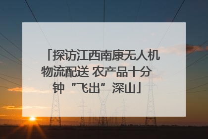 探访江西南康无人机物流配送 农产品十分钟“飞出”深山