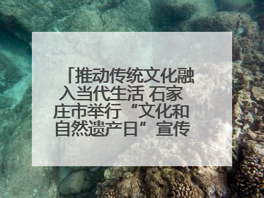 推动传统文化融入当代生活 石家庄市举行“文化和自然遗产日”宣传展示活动