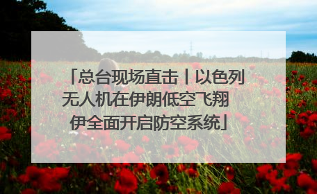 总台现场直击丨以色列无人机在伊朗低空飞翔 伊全面开启防空系统
