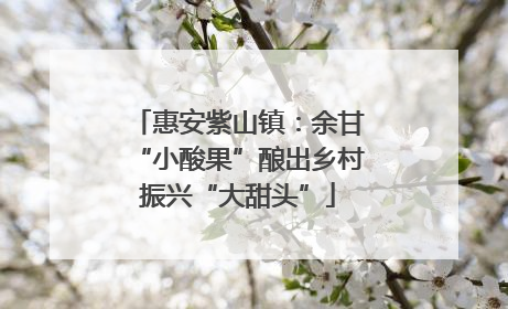 惠安紫山镇：余甘“小酸果”酿出乡村振兴“大甜头”