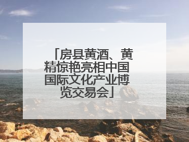 房县黄酒、黄精惊艳亮相中国国际文化产业博览交易会