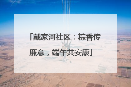 戴家河社区：粽香传廉意，端午共安康