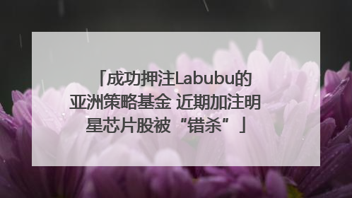 成功押注Labubu的亚洲策略基金 近期加注明星芯片股被“错杀”