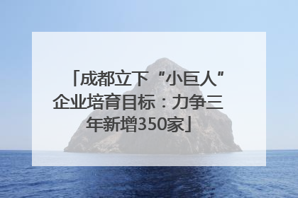 成都立下“小巨人”企业培育目标：力争三年新增350家