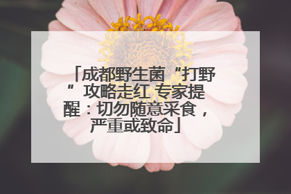 成都野生菌“打野”攻略走红 专家提醒：切勿随意采食，严重或致命