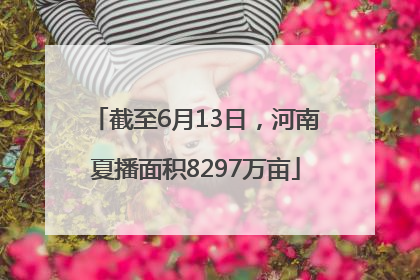 截至6月13日，河南夏播面积8297万亩
