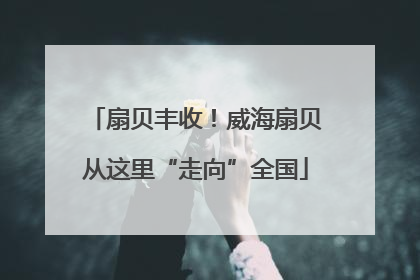 扇贝丰收！威海扇贝从这里“走向”全国