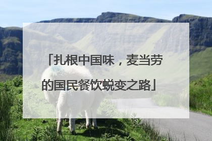 扎根中国味，麦当劳的国民餐饮蜕变之路