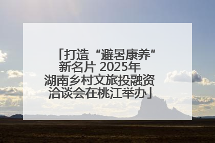 打造“避暑康养”新名片 2025年湖南乡村文旅投融资洽谈会在桃江举办