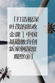 打造根深叶茂的思政金课｜中国基础教育创新案例深度观察③