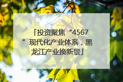 投资聚焦“4567”现代化产业体系，黑龙江产业换新景