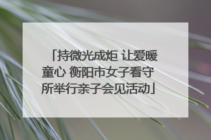 持微光成炬 让爱暖童心 衡阳市女子看守所举行亲子会见活动