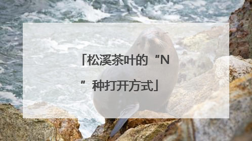松溪茶叶的“N”种打开方式