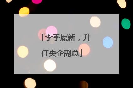 李季履新，升任央企副总