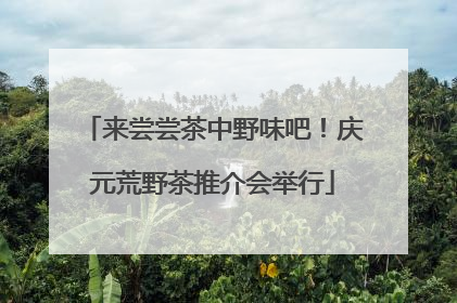 来尝尝茶中野味吧！庆元荒野茶推介会举行