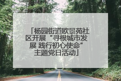 杨园街道欧景苑社区开展“寻根城市发展 践行初心使命”主题党日活动