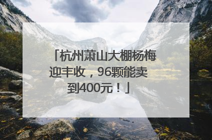 杭州萧山大棚杨梅迎丰收，96颗能卖到400元！