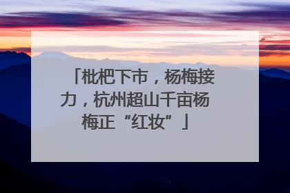枇杷下市，杨梅接力，杭州超山千亩杨梅正“红妆”