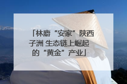 林麝“安家”陕西子洲 生态链上崛起的“黄金”产业