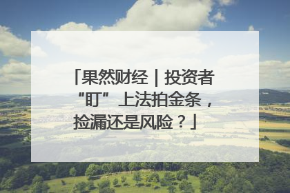 果然财经｜投资者“盯”上法拍金条，捡漏还是风险？
