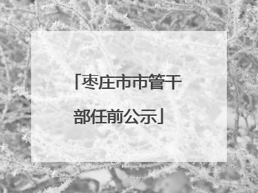 枣庄市市管干部任前公示